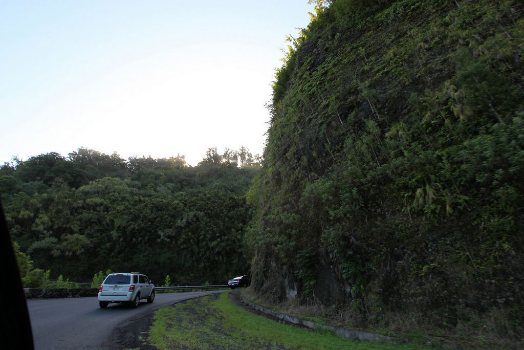 Best Things to do in Maui - Road to Hana