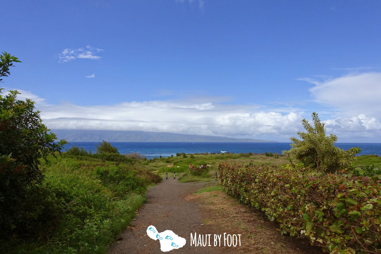 Best Maui Hikes - Kapalua Coast Trail