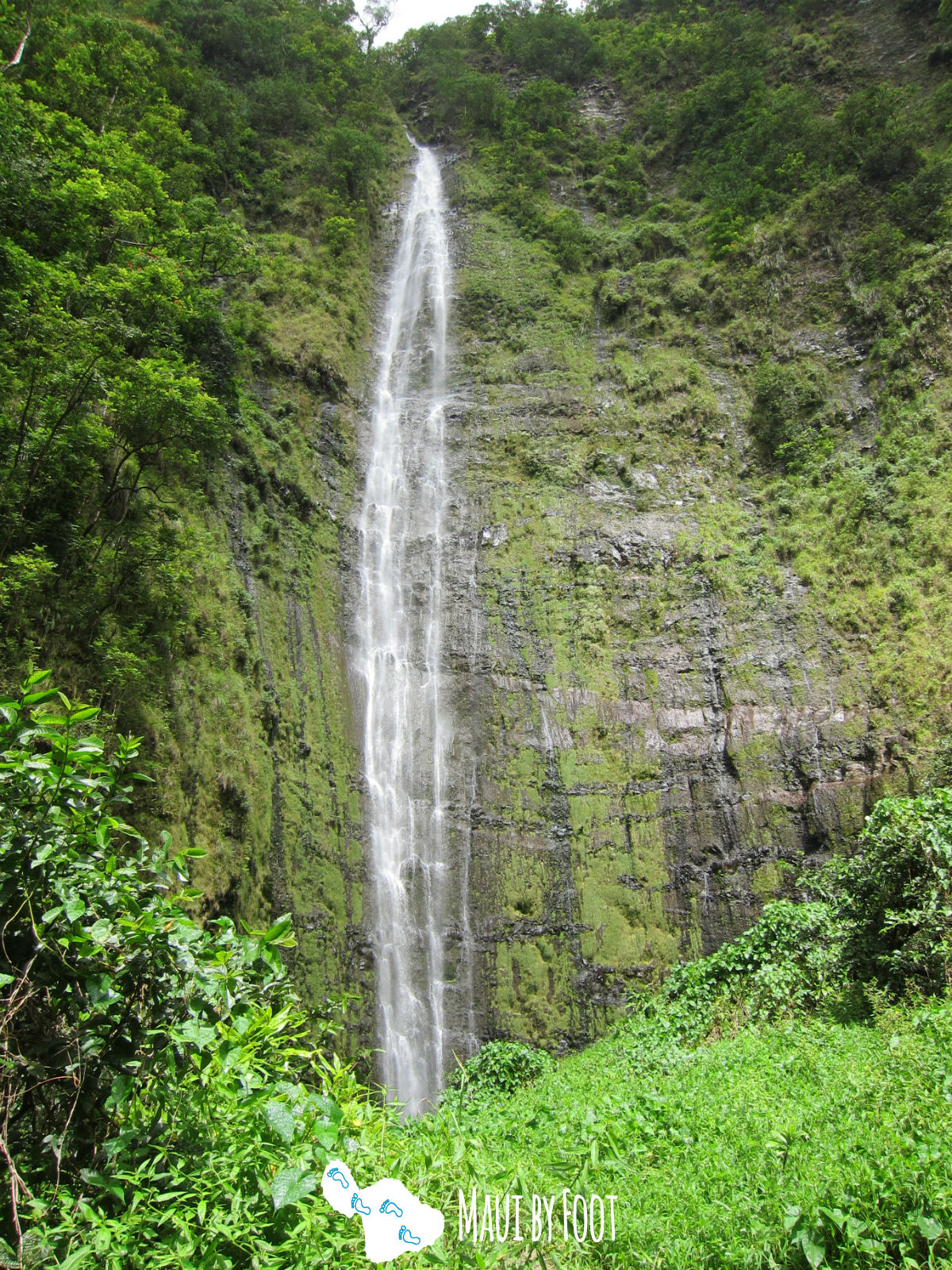 Top 3 Hiking Spots in Maui - Pipiwai Trail & Waimoku Falls