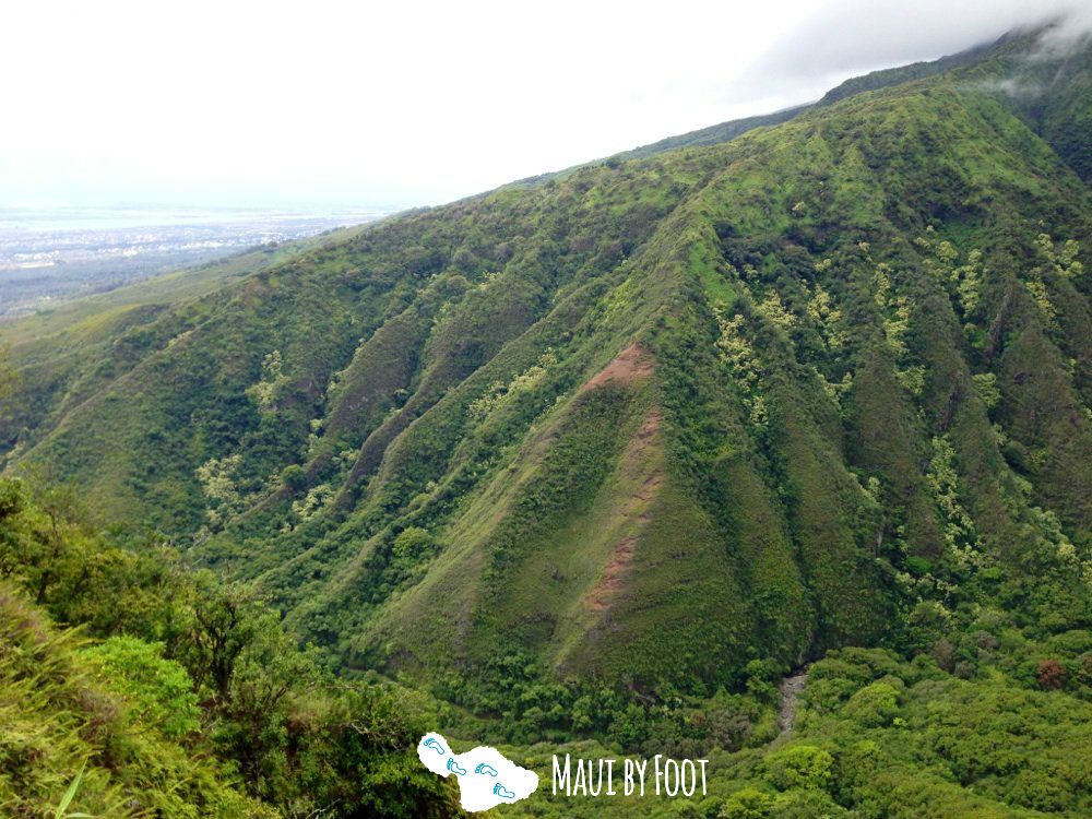 Top 3 Hiking Spots in Maui - Waihee Ridge Trail